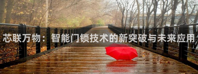 利记体育app官网：芯联万物：智能门锁技术的新突破与未来应用