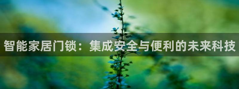 利记广告联盟官网：智能家居门锁：集成安全与便利的未来科技