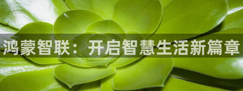利记官网注册网：鸿蒙智联：开启智慧生活新篇章