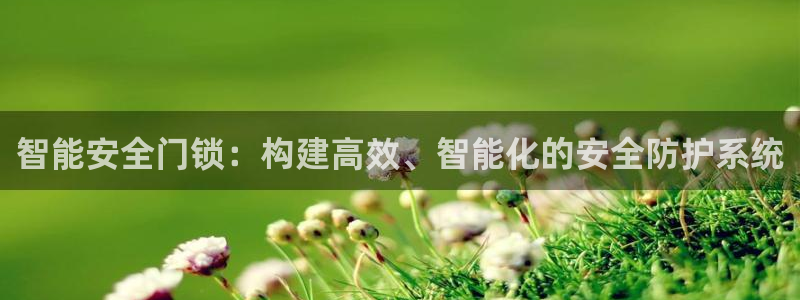 利记官网登录：智能安全门锁：构建高效、智能化的安全防护系统