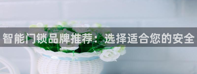 利记博彩官网：智能门锁品牌推荐：选择适合您的安全