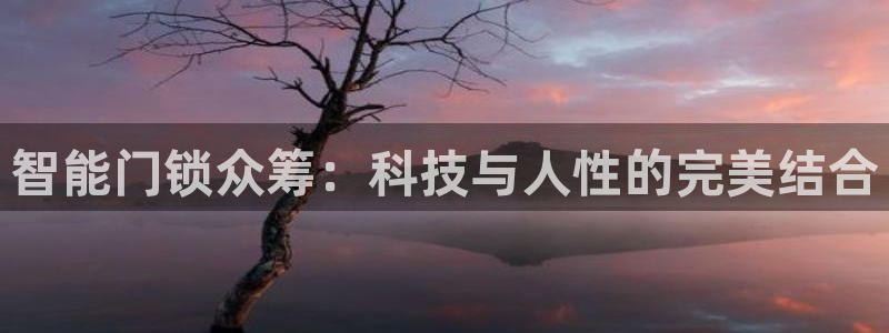 利记官网是多少：智能门锁众筹：科技与人性的完美结合