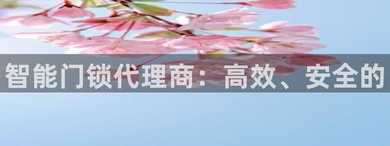 利记手机官网入口：智能门锁代理商：高效、安全的