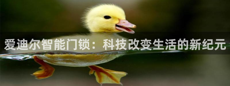 万利记加盟官网电话：爱迪尔智能门锁：科技改变生活的新纪元