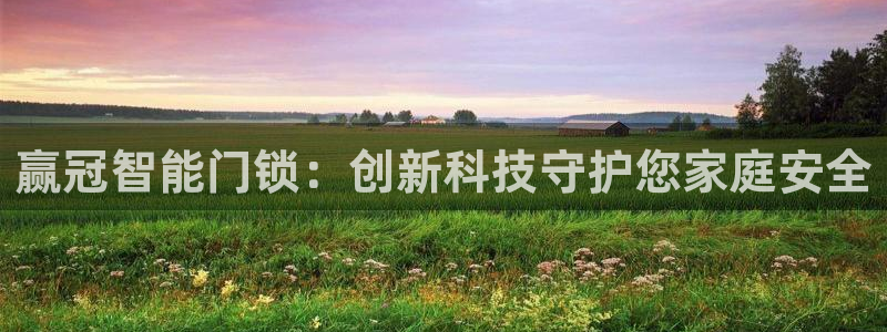 利记网址注册官网：赢冠智能门锁：创新科技守护您家庭安全