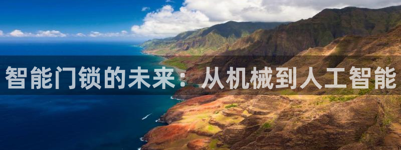 利记体育官网地址：智能门锁的未来：从机械到人工智能
