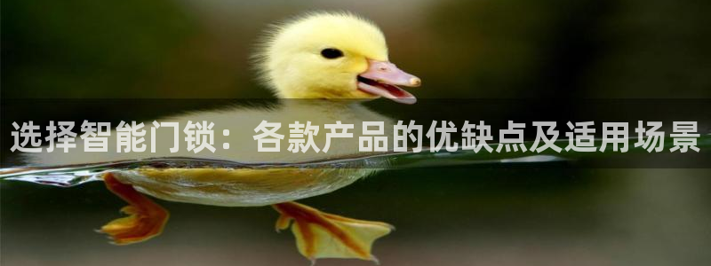 利记娱乐网官网：选择智能门锁：各款产品的优缺点及适用场景