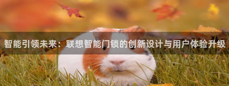 利记手机官网入口：智能引领未来：联想智能门锁的创新设计与用户