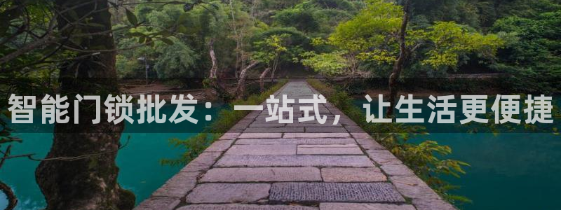 利记官网是多少：智能门锁批发：一站式，让生活更便捷