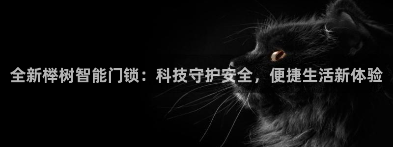 利记博彩官网APP：全新榉树智能门锁：科技守护安全，便捷生活