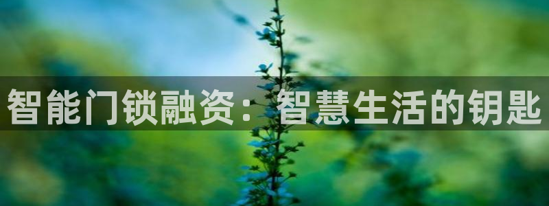 利记官网入口：智能门锁融资：智慧生活的钥匙