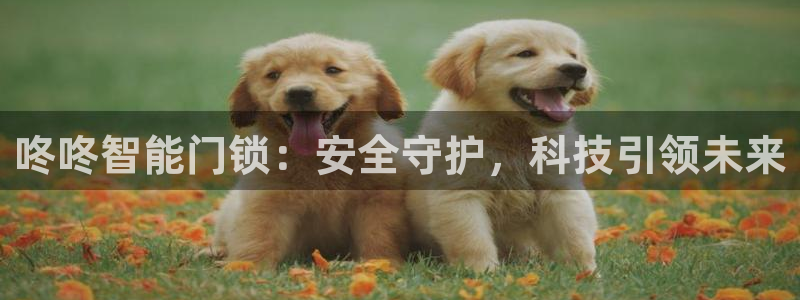 利记坊平台唯一官网：咚咚智能门锁：安全守护，科技引领未来