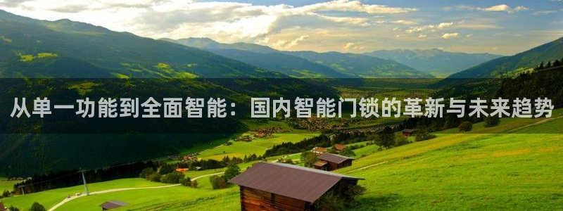 sbo利记体育官网：从单一功能到全面智能：国内智能门锁的革新