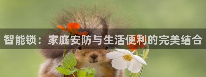 利记娱乐会员金钻官网：智能锁：家庭安防与生活便利的完美结合