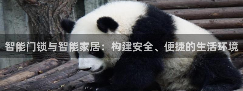 香港利记lee kee集团官网：智能门锁与智能家居：构建安全