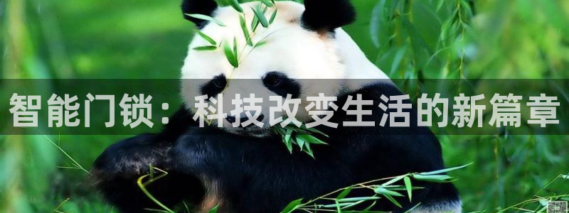 铂利记旗舰店官网电话：智能门锁：科技改变生活的新篇章
