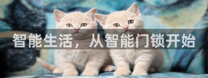 利记官网开户：智能生活，从智能门锁开始