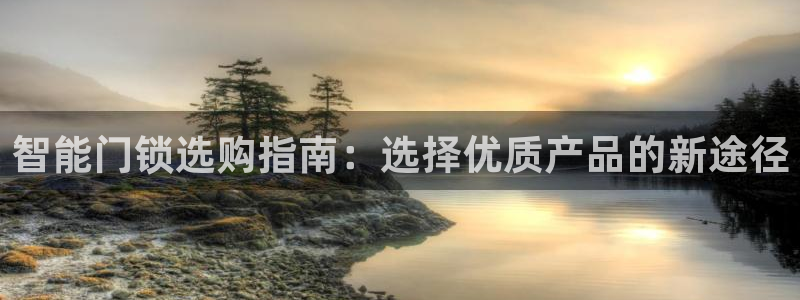 利记体育手机版官网：智能门锁选购指南：选择优质产品的新途径