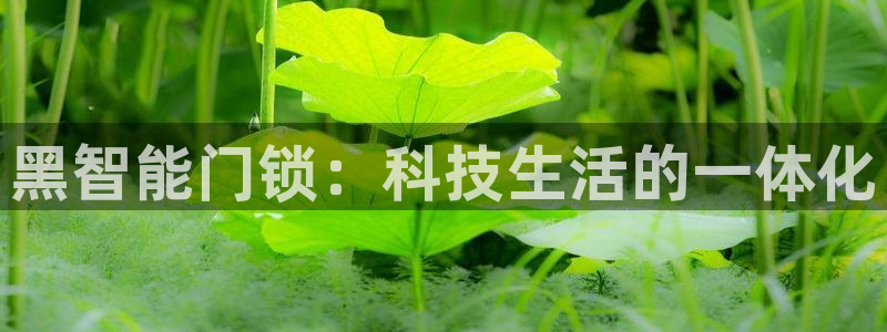 利记 利记官网：黑智能门锁：科技生活的一体化