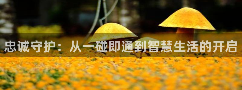 利记现场官网：忠诚守护：从一碰即通到智慧生活的开启