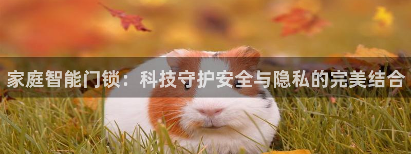 利记app官网：家庭智能门锁：科技守护安全与隐私的完美结合