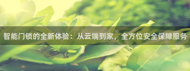 利记官网电脑版：智能门锁的全新体验：从云端到家，全方位安全保
