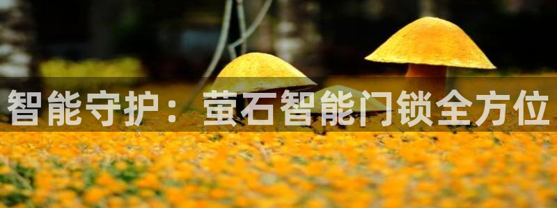 利记sbobet官网：智能守护：萤石智能门锁全方位