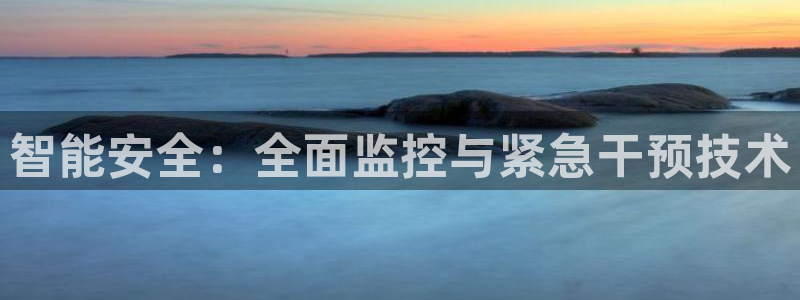 万利记加盟官网电话：智能安全：全面监控与紧急干预技术