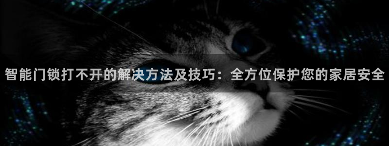 大利来记官网：智能门锁打不开的解决方法及技巧：全方位保护您的