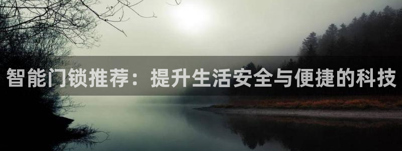 利记官网app：智能门锁推荐：提升生活安全与便捷的科技