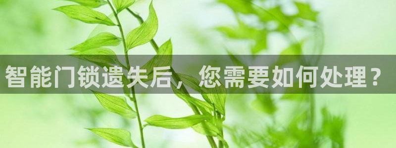 利记体育app官网：智能门锁遗失后，您需要如何处理？