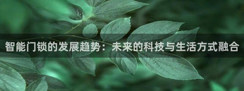 利记坊官网：智能门锁的发展趋势：未来的科技与生活方式融合
