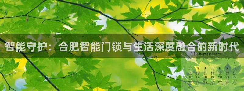 利记官网是什么：智能守护：合肥智能门锁与生活深度融合的新时代