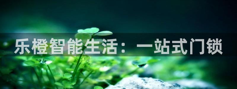 利记体育在线官网：乐橙智能生活：一站式门锁