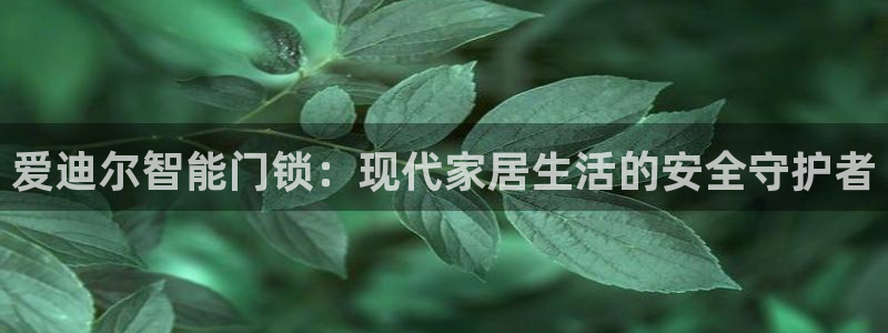 sbo利记体育官网：爱迪尔智能门锁：现代家居生活的安全守护者