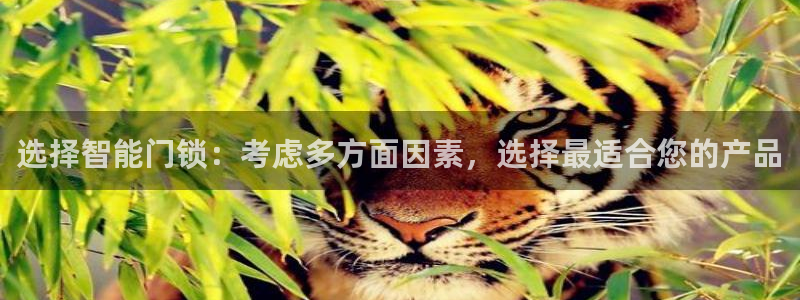 利记官网地址：选择智能门锁：考虑多方面因素，选择最适合您的产