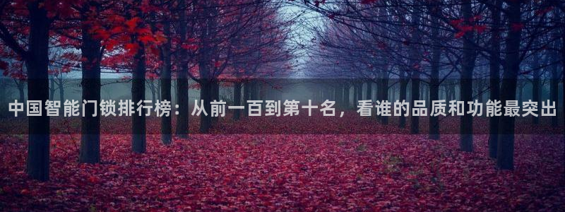 利记游戏官网：中国智能门锁排行榜：从前一百到第十名，看谁的品