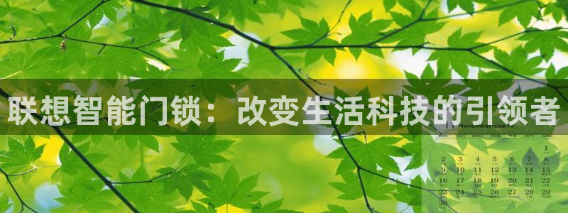铂利记旗舰店官网：联想智能门锁：改变生活科技的引领者