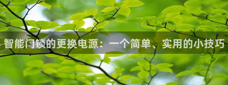 新利记官网：智能门锁的更换电源：一个简单、实用的小技巧