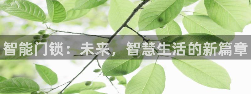 sbobet利记官网登录入口：智能门锁：未来，智慧生活的新篇