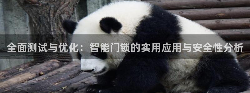 利记官网行业领导者：全面测试与优化：智能门锁的实用应用与安全