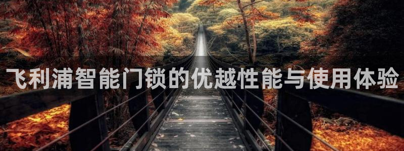 利记官网app下载网址日博官网网址：飞利浦智能门锁的优越性能