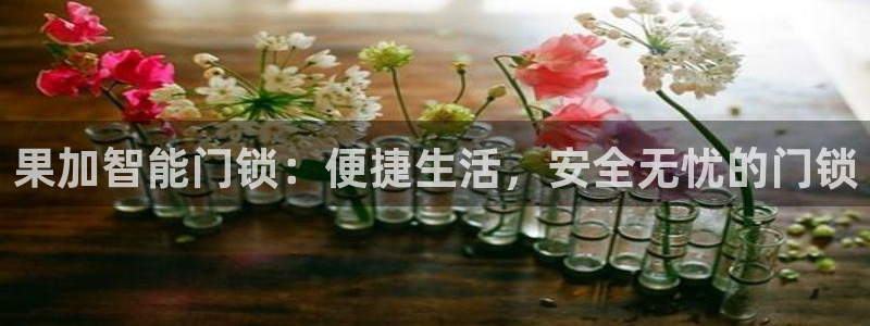 利记科技有限公司官网：果加智能门锁：便捷生活，安全无忧的门锁