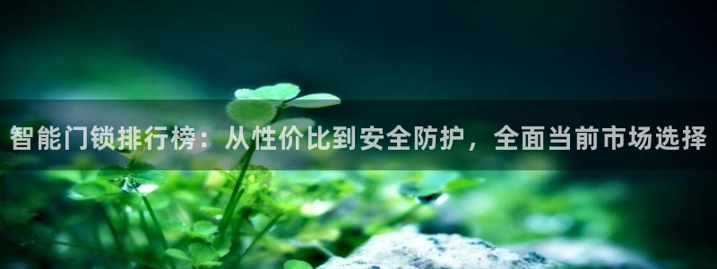 利记官网是什么：智能门锁排行榜：从性价比到安全防护，全面当前