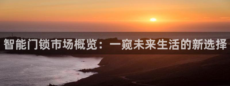 利记坊官网注册账号申请：智能门锁市场概览：一窥未来生活的新选