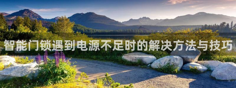 利记坊平台唯一官网：智能门锁遇到电源不足时的解决方法与技巧