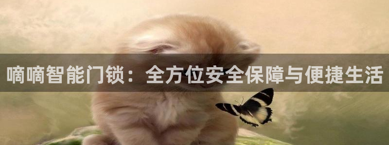 利记官网日亚运比：嘀嘀智能门锁：全方位安全保障与便捷生活