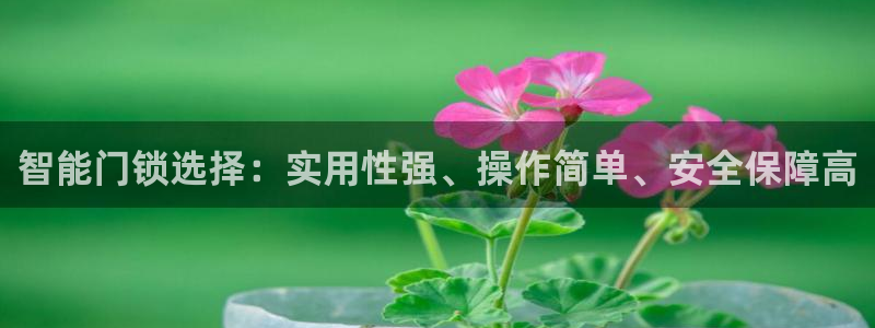利记彩票官网网址官网hd71：智能门锁选择：实用性强、操作简
