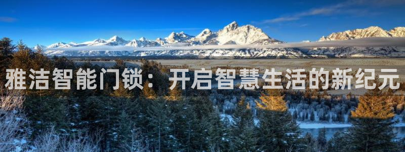 利记官网官方网站：雅洁智能门锁：开启智慧生活的新纪元
