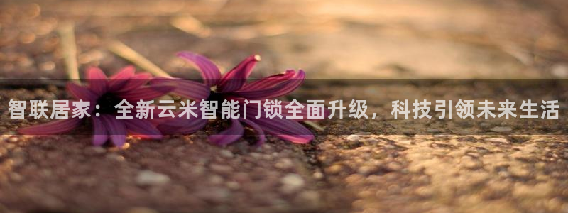 万利记加盟官网电话：智联居家：全新云米智能门锁全面升级，科技
